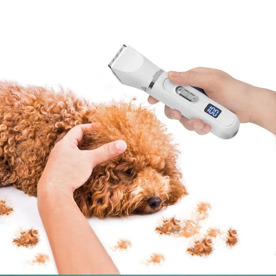 Low-noise pet grooming clipper for thick and thin fur